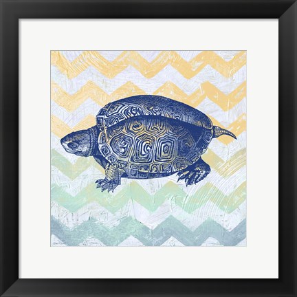 Framed Sea Creatures - Turtle Print