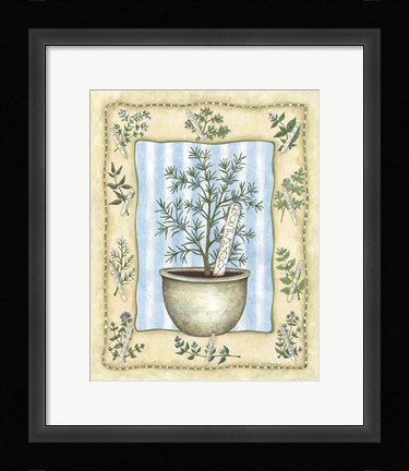 Framed Rosemary Print