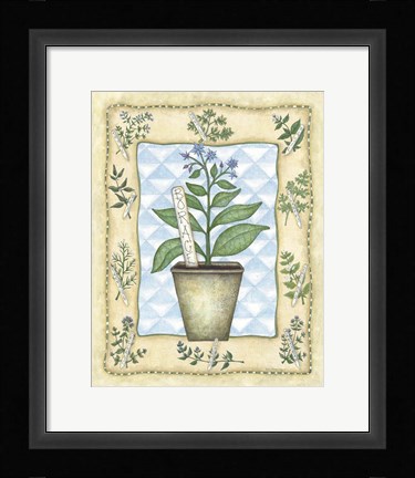 Framed Borage Print