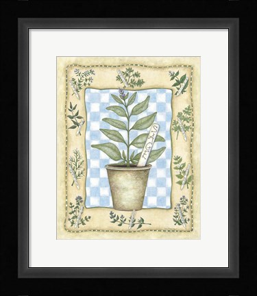 Framed Sage Print