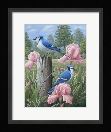 Framed Blue Jays Print