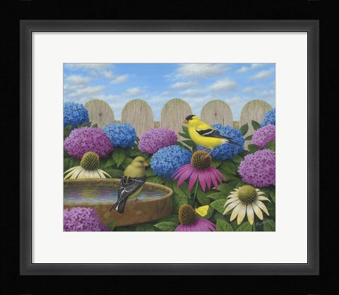 Framed Goldfinches Print