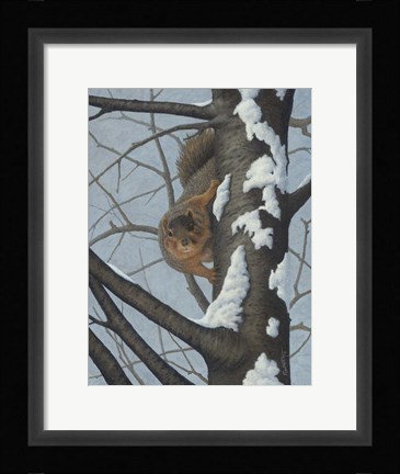 Framed What's Going On - Fox Squirrel Print