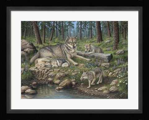 Framed Grey Wolf Mother And Pups Print