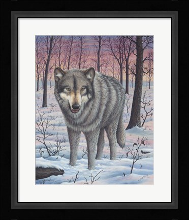 Framed Lone Wolf Print