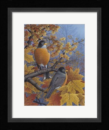 Framed Robins Print