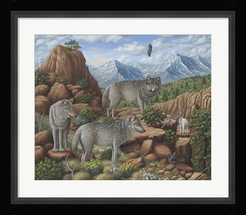 Framed Scouting the Horizon - Grey Wolves Print