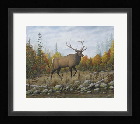 Framed Autumn Elk Print