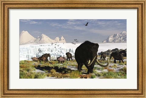 Framed Woolly Mammoths and Woolly Rhinos in a Prehistoric Landscape Print