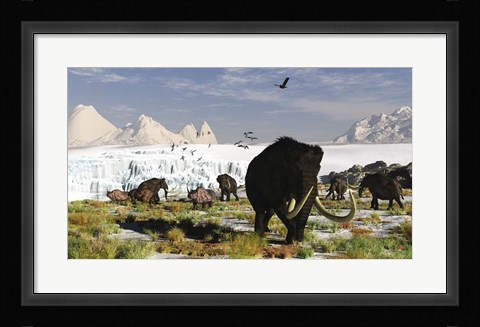 Framed Woolly Mammoths and Woolly Rhinos in a Prehistoric Landscape Print