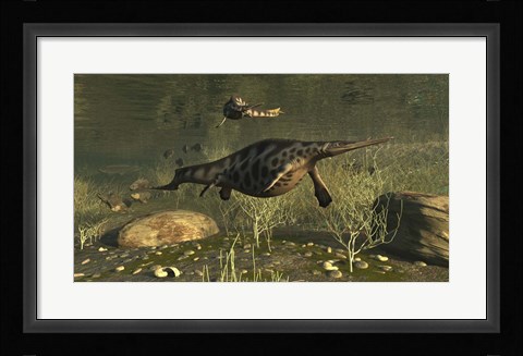Framed Hupehsuchus Marine Reptiles Swimming In Triassic Waters Print