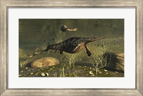 Framed Hupehsuchus Marine Reptiles Swimming In Triassic Waters Print