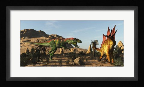 Framed Saurophaganax Dinosaur Attacks A Stegosaurus Print
