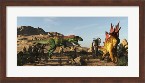 Framed Saurophaganax Dinosaur Attacks A Stegosaurus Print