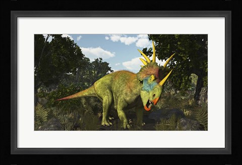 Framed Styracosaurus, A Horned Dinosaur Of The Late Cretaceous Print