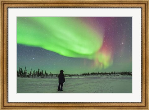 Framed Aurora borealis with Vega and Arcturus Stars, Manitoba, Canada Print