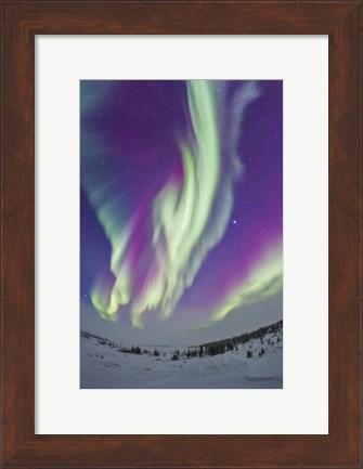Framed Northern Lights in Churchill, Manitoba, Canada Print