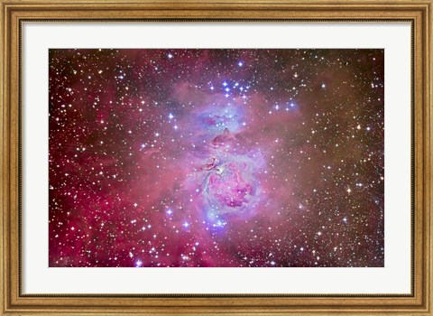 Framed Orion Nebula Region Print