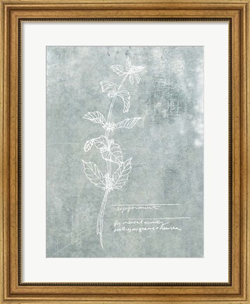 Framed Essential Botanicals III Print