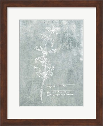 Framed Essential Botanicals III Print