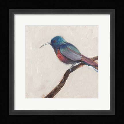 Framed Bird Profile I Print