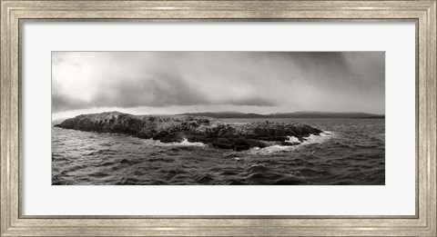 Framed Island of arctic birds and sea lions, Beagle Channel, Patagonia, Argentina Print