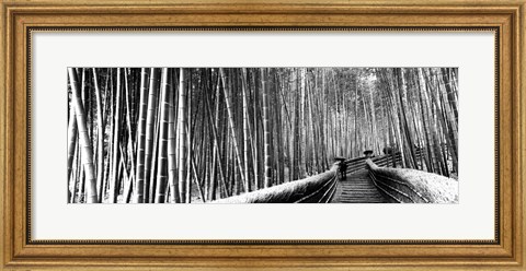 Framed Stepped walkway passing through a bamboo forest, Arashiyama, Kyoto, Japan Print