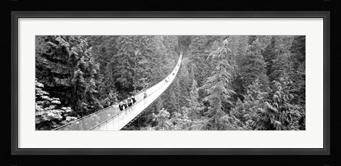 Framed Capilano Bridge, Suspended Walk, Vancouver, British Columbia, Canada BW Print