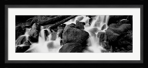 Framed Cascading waterfall in a rainforest, Olympic National Park, Washington State Print