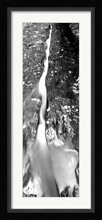 Framed Stream flowing through rocks, North Creek, Zion National Park, Utah Print