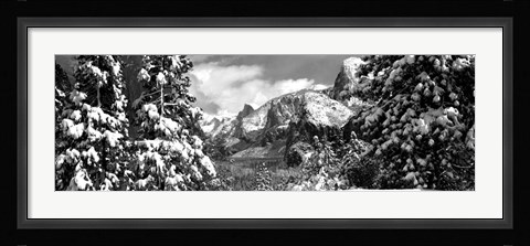Framed Snowy trees in winter, Yosemite Valley, Yosemite National Park, California Print