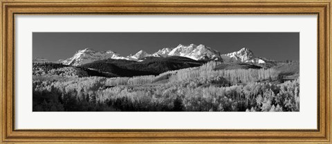 Framed Colorado, Rocky Mountains, aspens, autumn Print