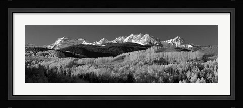Framed Colorado, Rocky Mountains, aspens, autumn Print