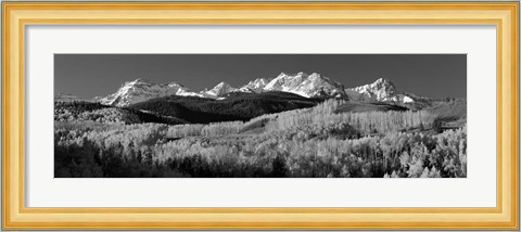 Framed Colorado, Rocky Mountains, aspens, autumn Print