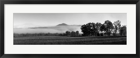 Framed Fog over mountain, Cades Cove, Great Smoky Mountains National Park, Tennessee Print