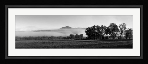 Framed Fog over mountain, Cades Cove, Great Smoky Mountains National Park, Tennessee Print