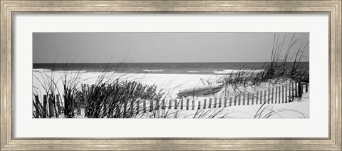 Framed Fence on the beach, Bon Secour National Wildlife Refuge, Bon Secour, Alabama Print