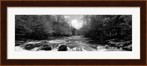 Framed Little Pigeon River, Great Smoky Mountains National Park, Tennessee Print