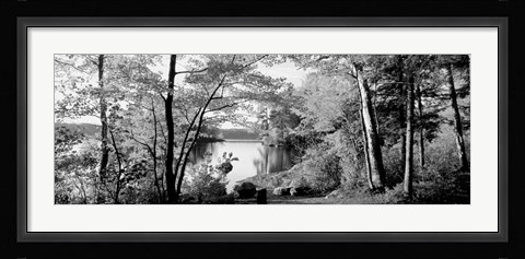 Framed Trees at the lakeside, Great Sacandaga Lake, Adirondack Mountains, NY Print