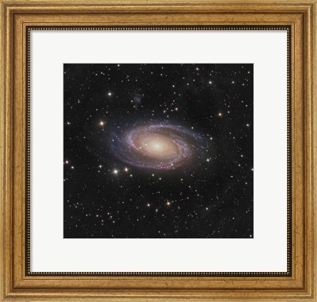 Framed Messier 81 spiral galaxy in the Constellation Ursa Major Print