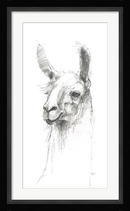 Framed Bianca Pencil Print