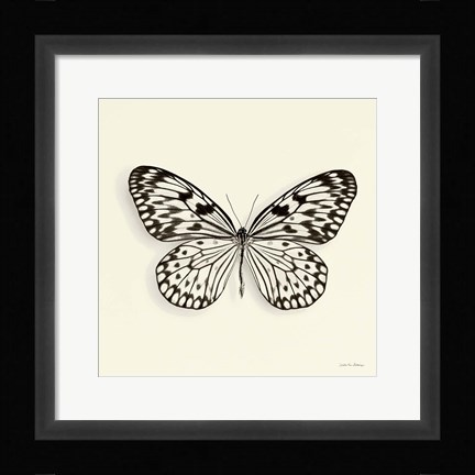 Framed Butterfly V Print