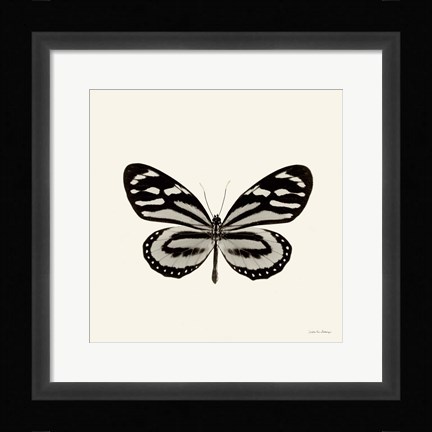 Framed Butterfly VIII Print