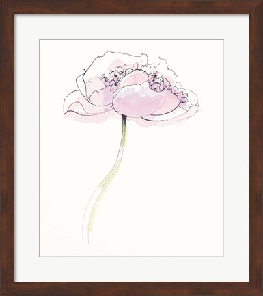 Framed Single Pink Somniferums II on White Print