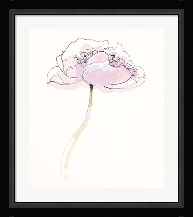 Framed Single Pink Somniferums II on White Print