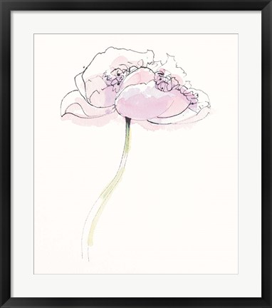 Framed Single Pink Somniferums II on White Print