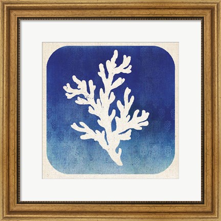 Framed Watermark Coral Print