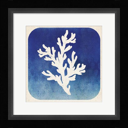 Framed Watermark Coral Print