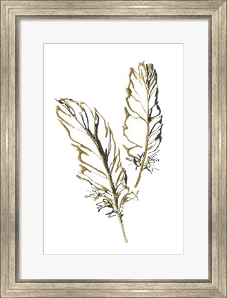 Framed Gilded Barn Owl Feather Print