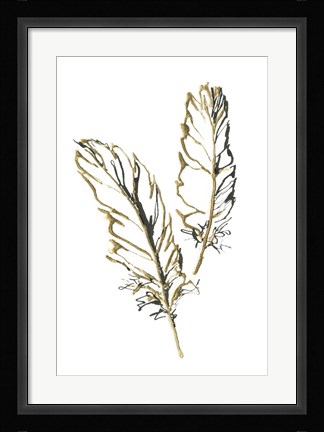 Framed Gilded Barn Owl Feather Print